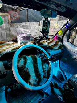 هافي مينيي حمل